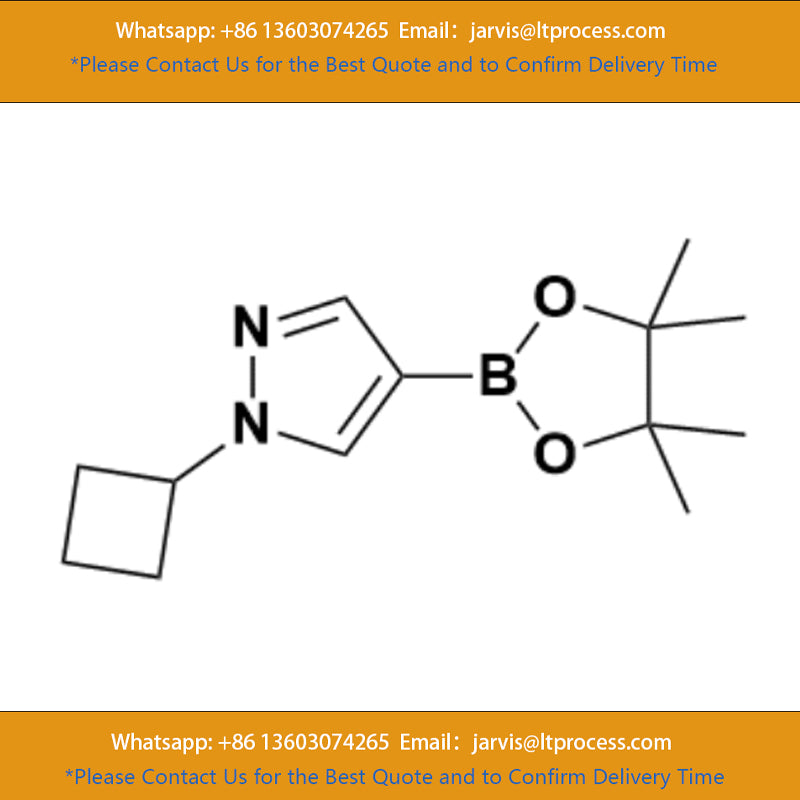 TITAN Adamas 1-Cyclobutyl-4-(4,4,5,5-Tetramethyl-1,3,2-Dioxaborolan-2-yl)-1H-Pyrazole | 97%+(GC-MS) CAS No.:1002309-48-9