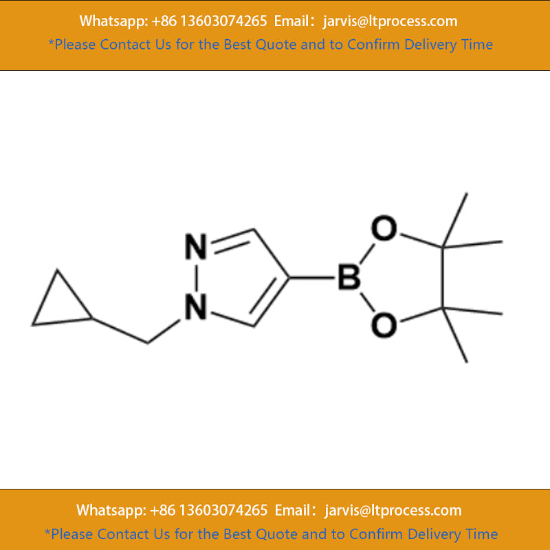 TITAN Adamas 1-(Cyclopropylmethyl)-4-(4,4,5,5-tetramethyl-1,3,2-dioxaborolan-2-yl)-1H-pyrazole | 97%(GC-MS) CAS No.:1000801-75-1